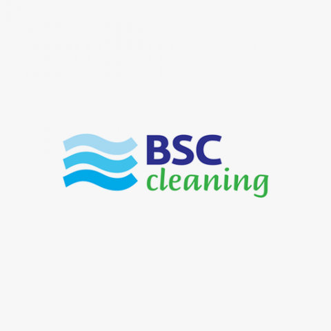BSC cleaning